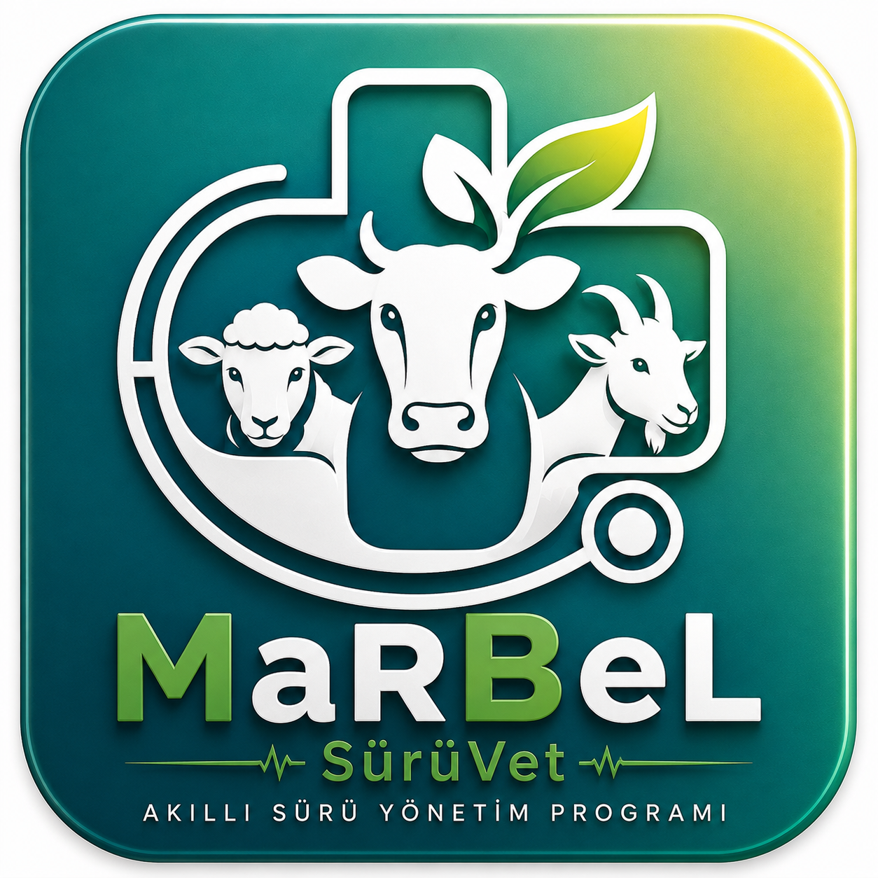 MaRBeL SürüVet